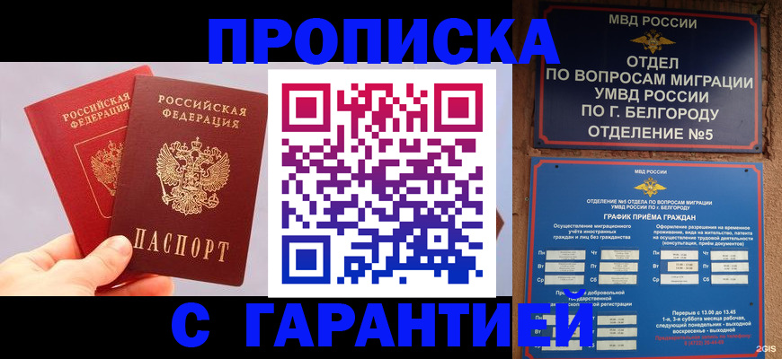 прописка 2025 в Мурино